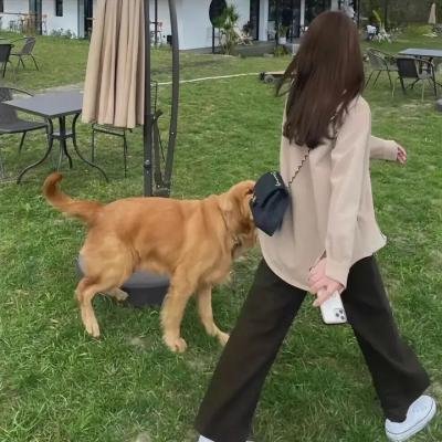 伊甸园之海